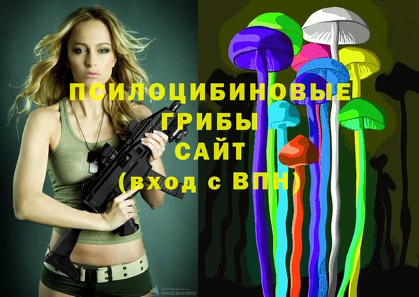 не бодяженный Белокуриха