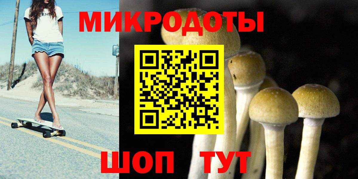 Галлюциногенные грибы мухоморы Бутурлиновка