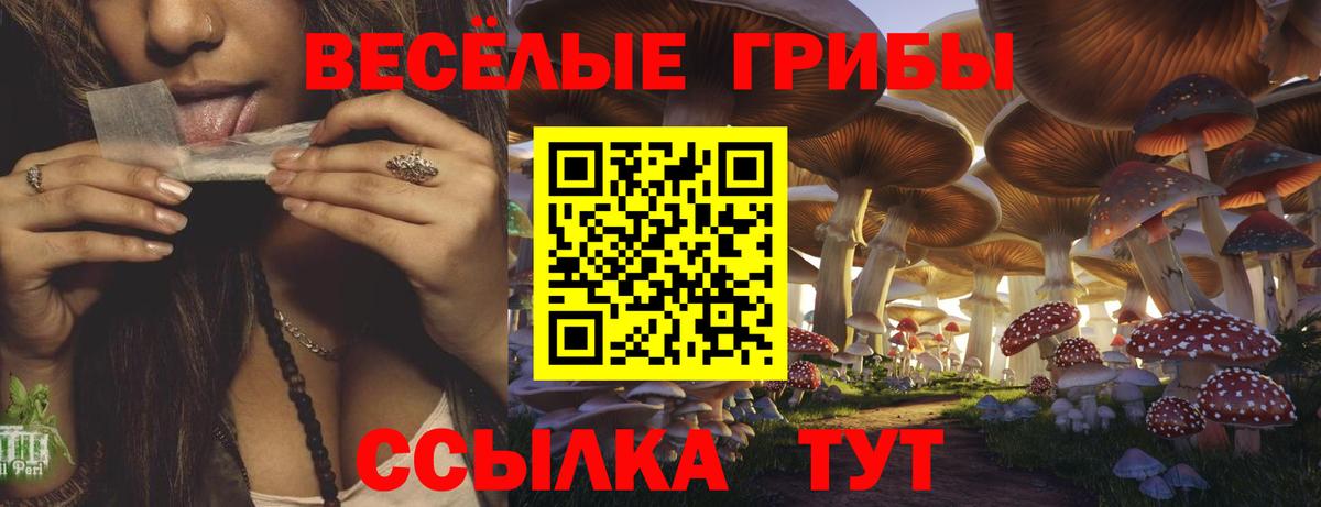 Псилоцибиновые грибы прущие грибы  Галлюциногенные грибы Psilocybe  Вход с VPN  Бутурлиновка 